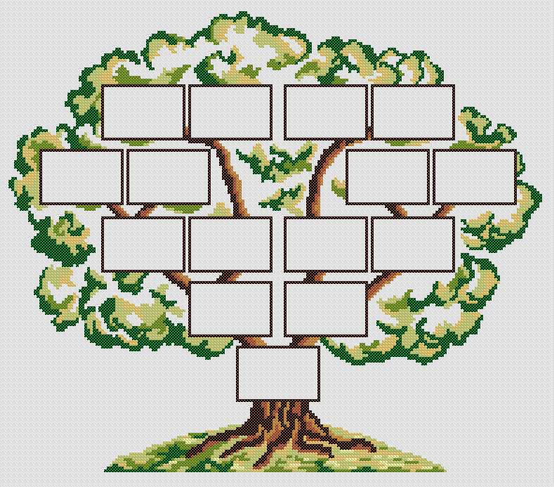Arbre généalogique Arbre genealogique